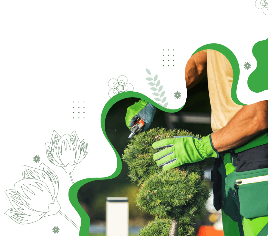 Paysagiste LM Espace Vert réalisant l’entretien d’un jardin